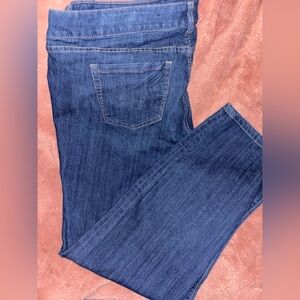 EUC 24T Torrid Denim Jeans